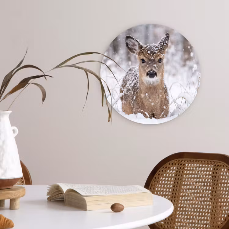 Muurcirkel - Hert - Sneeuw - Bos - Dieren - Vertederend — 4