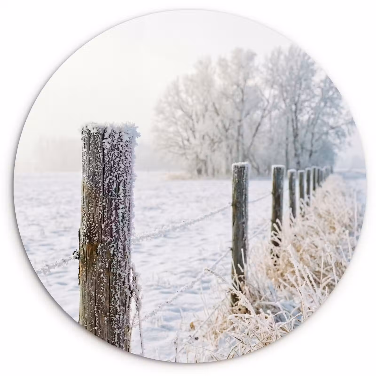 Muurcirkel - Hek - Sneeuw - Mist - Platteland - Nostalgisch — 1