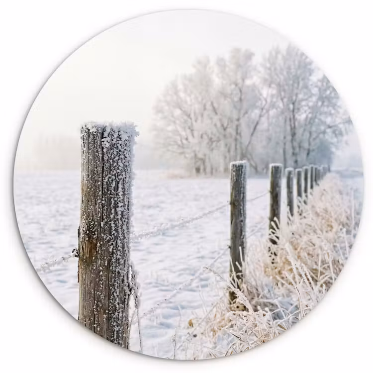 Muurcirkel - Hek - Sneeuw - Mist - Platteland - Nostalgisch — 1