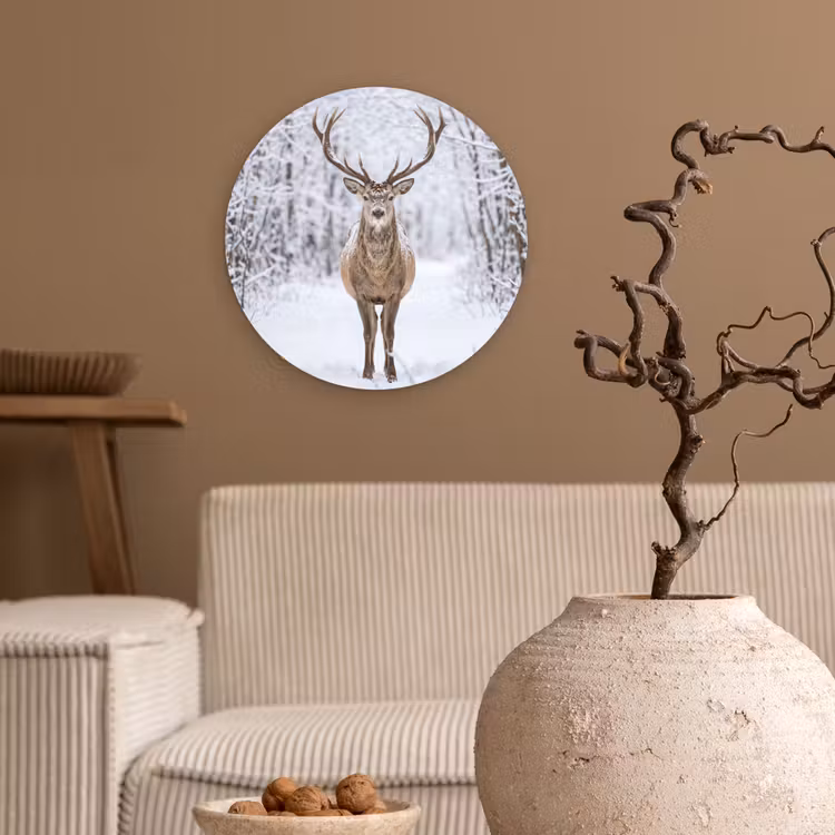 Muurcirkel - Hert - Winter - Bos - Natuur - Wit — 2