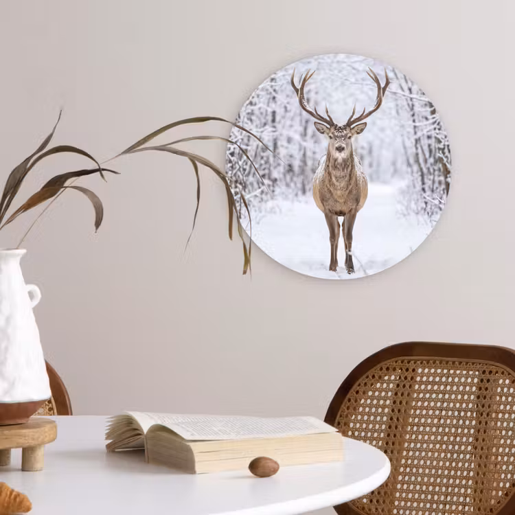 Muurcirkel - Hert - Winter - Bos - Natuur - Wit — 4