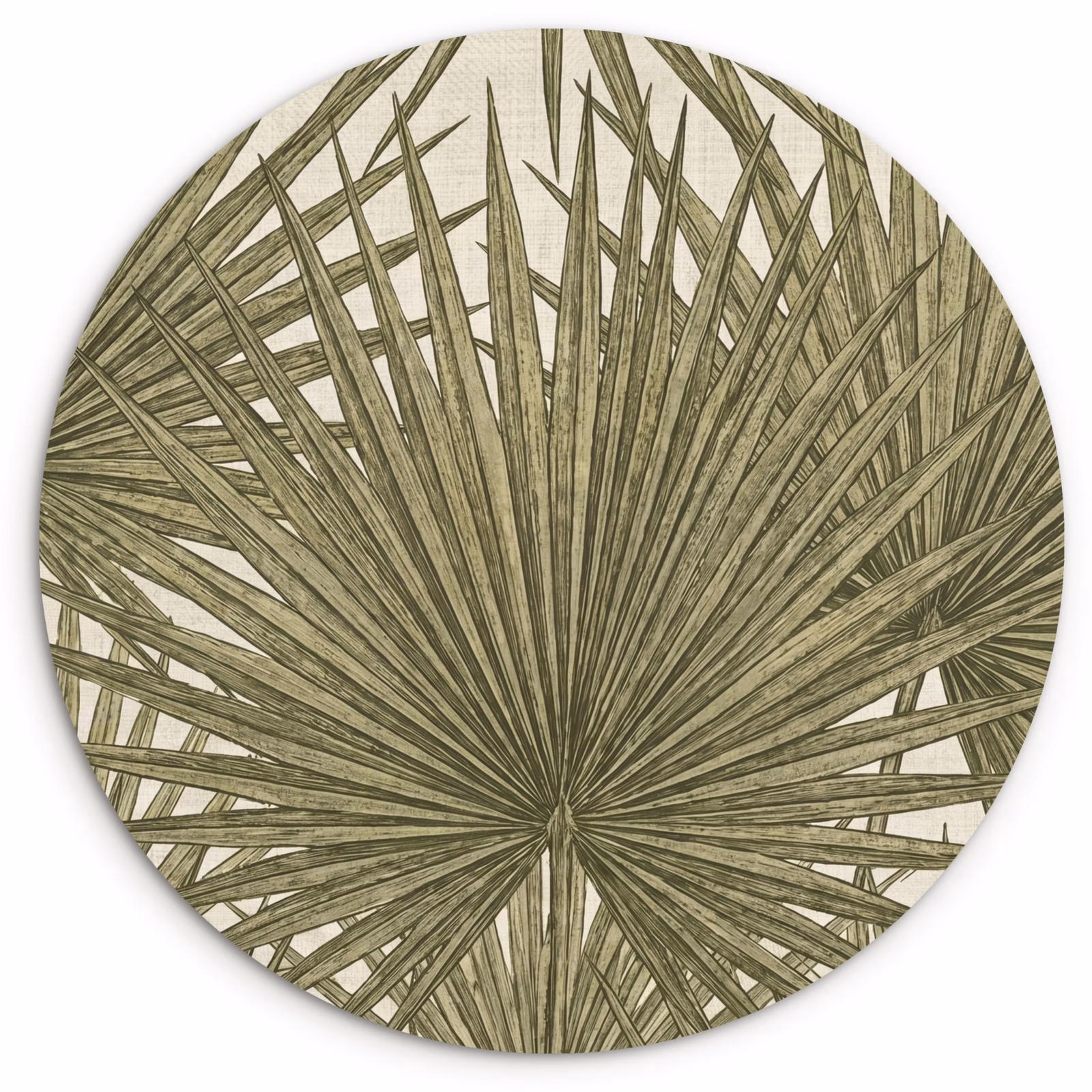 Muurcirkel - Blad - Tropisch - Patroon - Natuur - Groen — 1