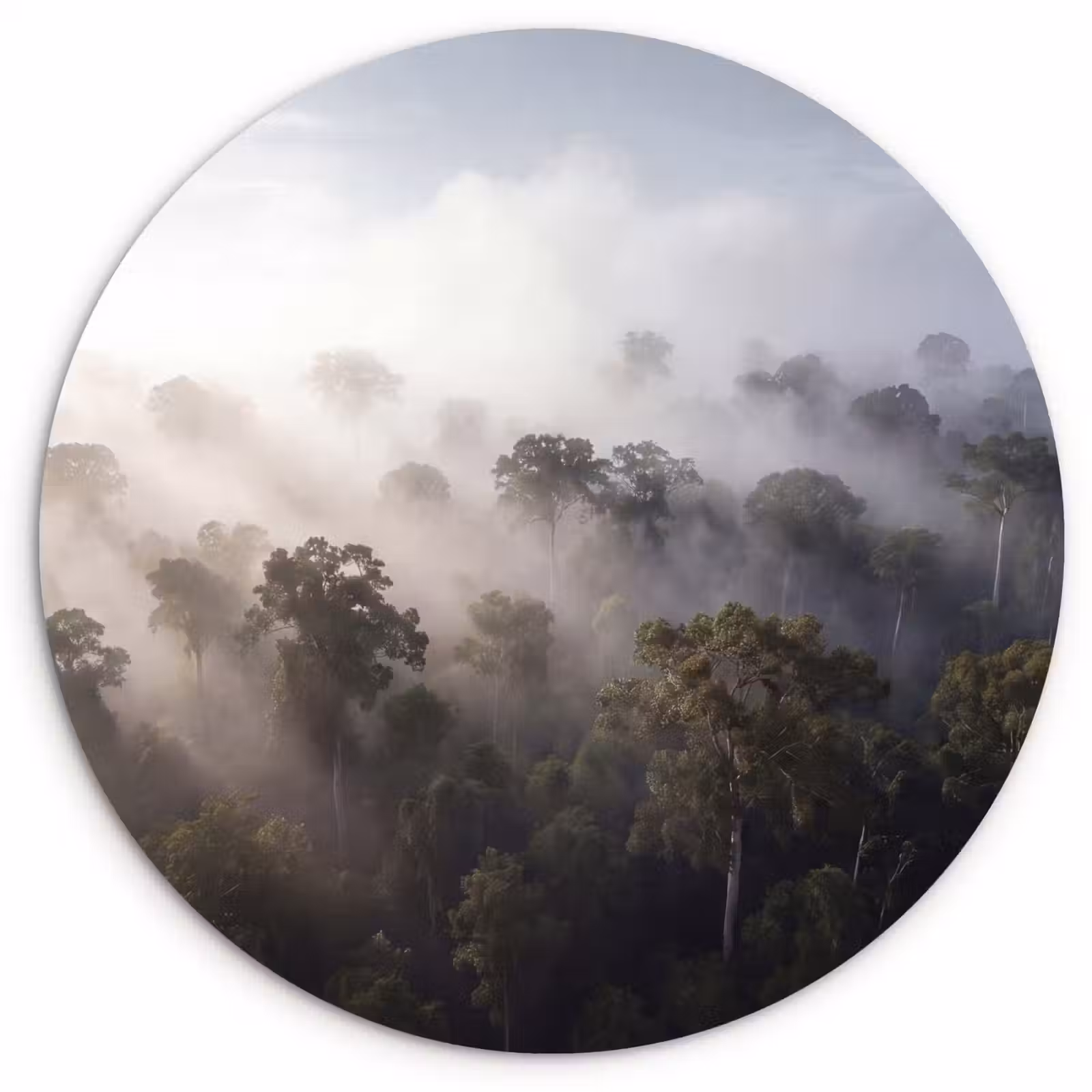 Muurcirkel - Bos - Mist - Natuur - Groen — 1