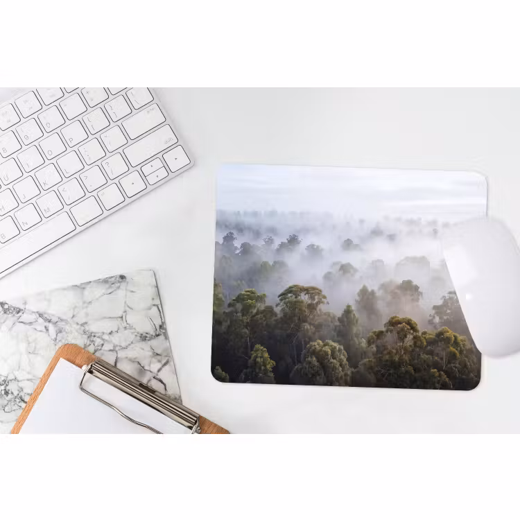 Muismat - Natuur - Mist - Bos - Ochtend - Goud — 2