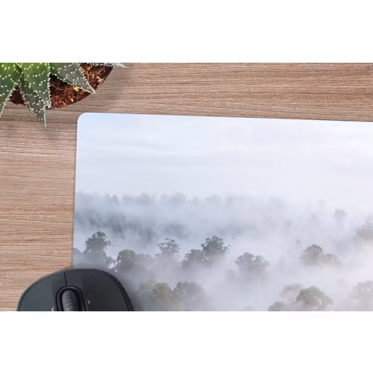 Muismat - Natuur - Mist - Bos - Ochtend - Goud — 4