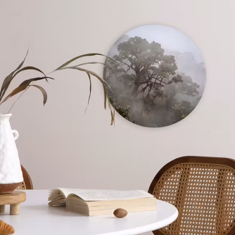 Muurcirkel - Boom - Mistig - Bos - Groen - Natuur — 4