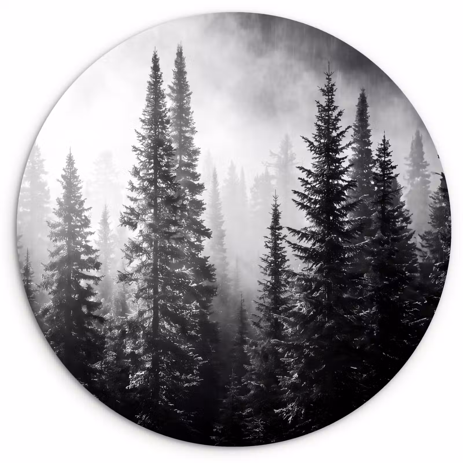 Muurcirkel - Bos - Mist - Winter - Monochroom - Natuur — 1