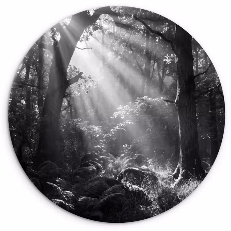 Muurcirkel - Bos - Lichtstralen - Natuur - Zwart-wit — 1