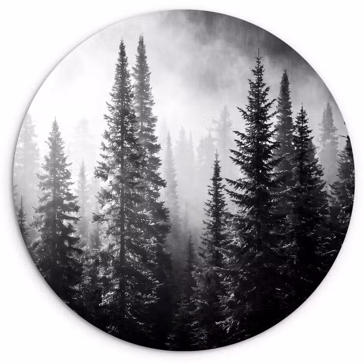 Muurcirkel - Bos - Mist - Winter - Monochroom - Natuur — 1