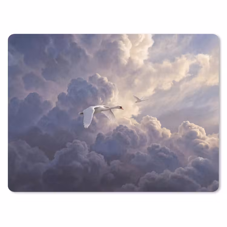 Muismat - Vogel - Vliegend - Natuur - Wit - Wolken — 1