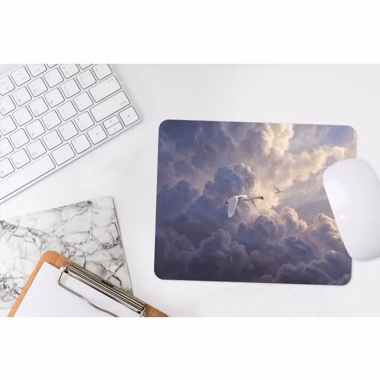 Muismat - Vogel - Vliegend - Natuur - Wit - Wolken — 2