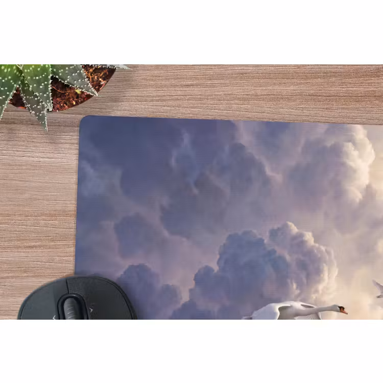 Muismat - Vogel - Vliegend - Natuur - Wit - Wolken — 4