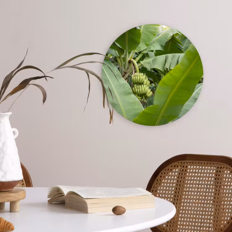 Muurcirkel - Eten - Bananen - Plantage - Groen — 4
