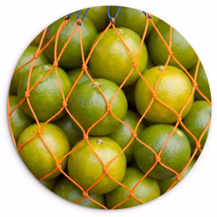Muurcirkel - Eten - Net - Groen - Markt — 1