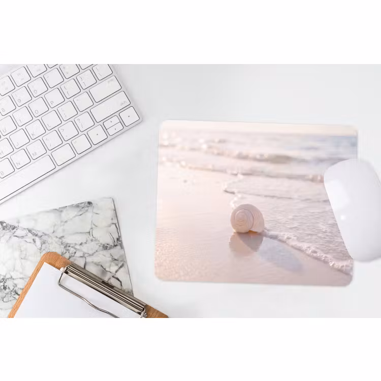 Muismat - Zeeschelp - Strand - Zee - Natuur - Beige — 2