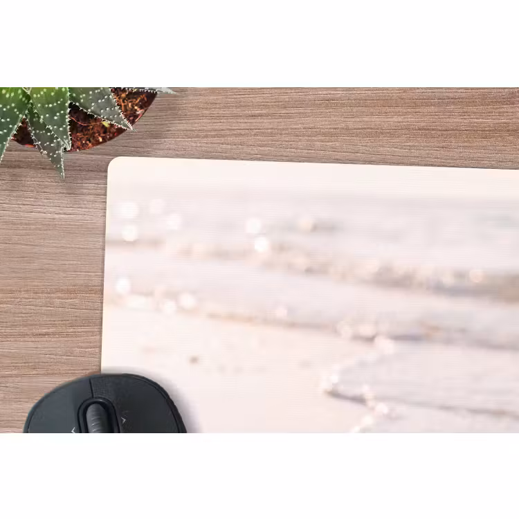 Muismat - Zeeschelp - Strand - Zee - Natuur - Beige — 4