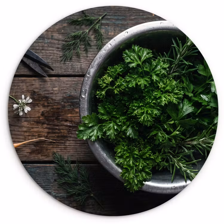 Muurcirkel - Groenten - Hout - Eten — 1