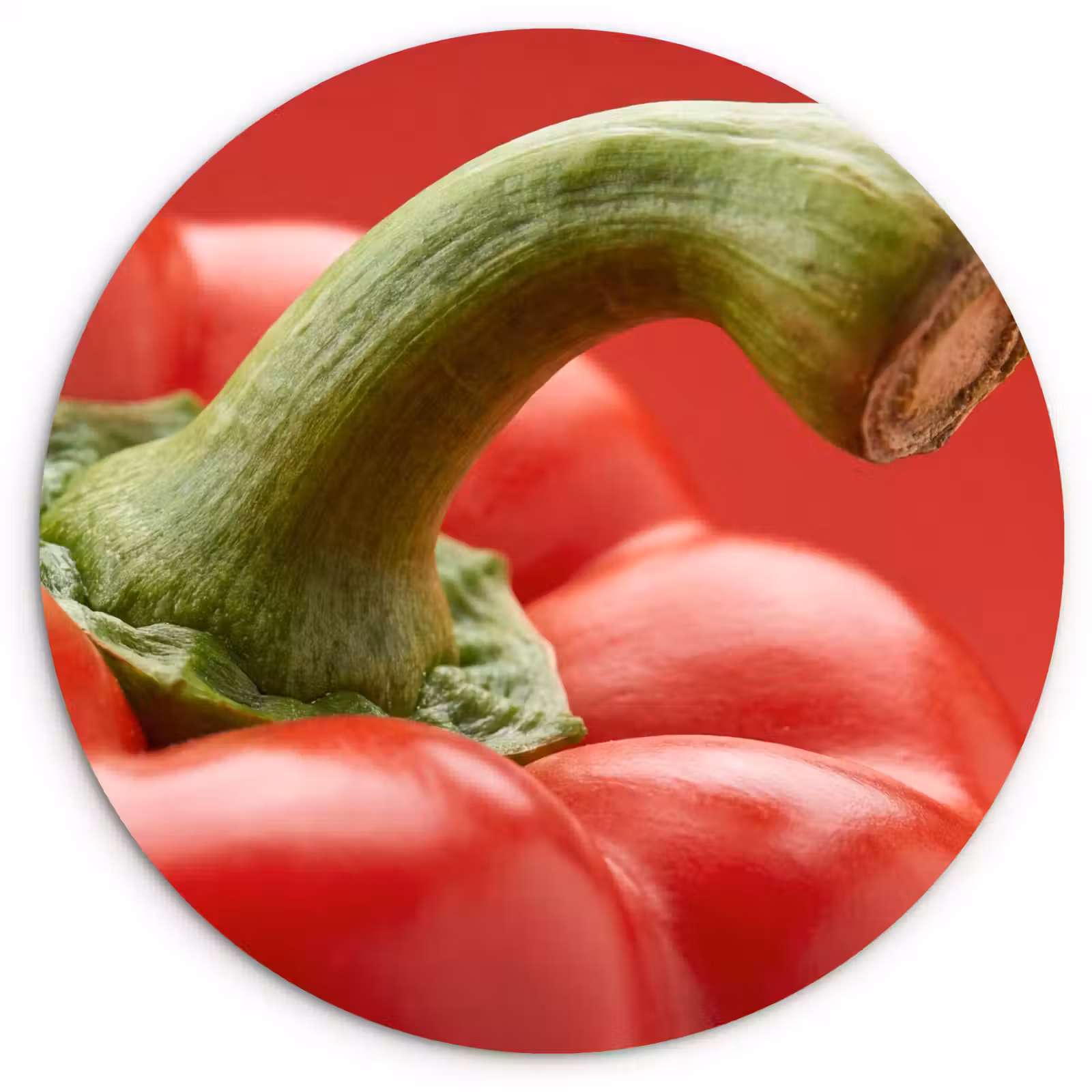 Muurcirkel - Eten - Paprika - Rood — 1