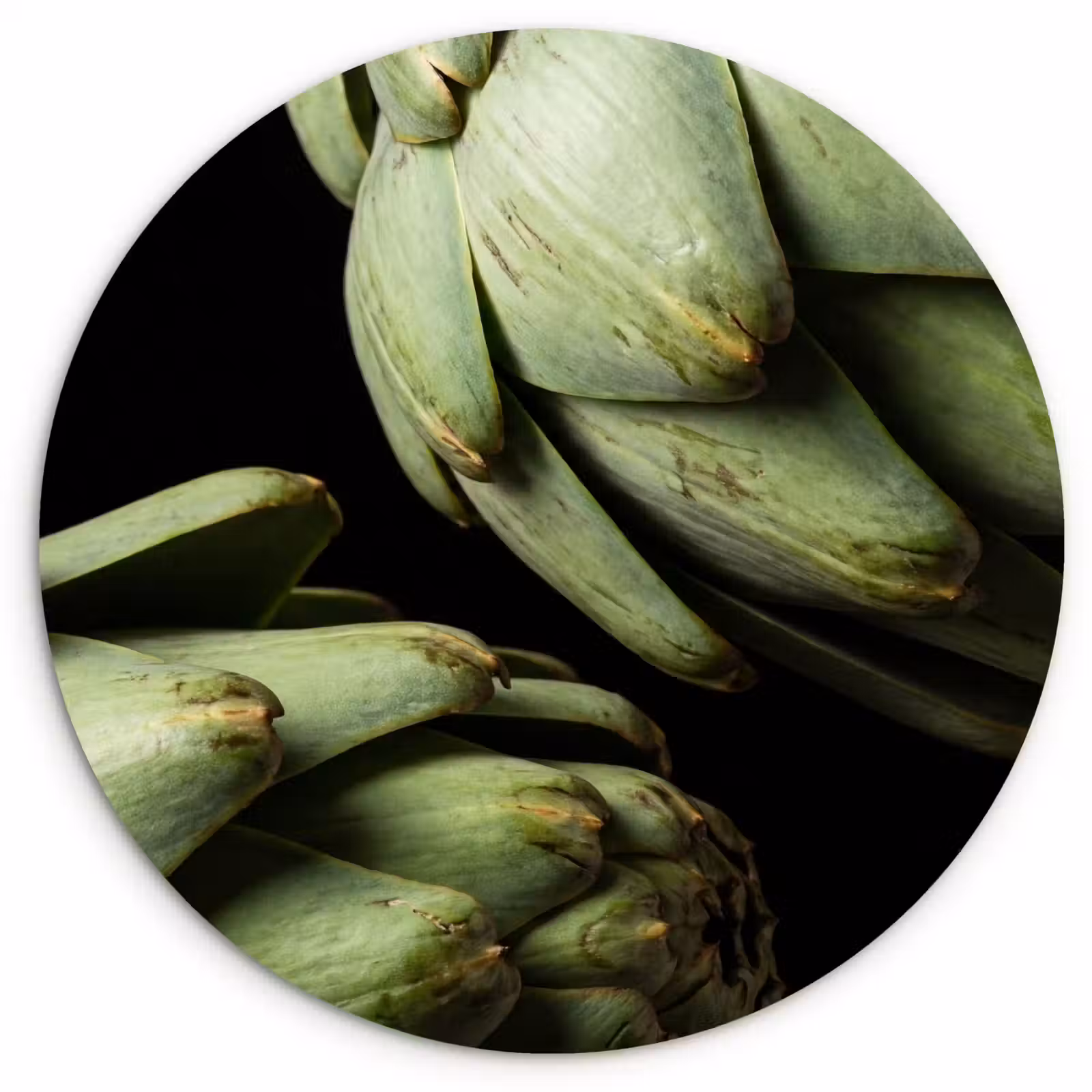 Muurcirkel - Artisjok - Groen - Eten — 1