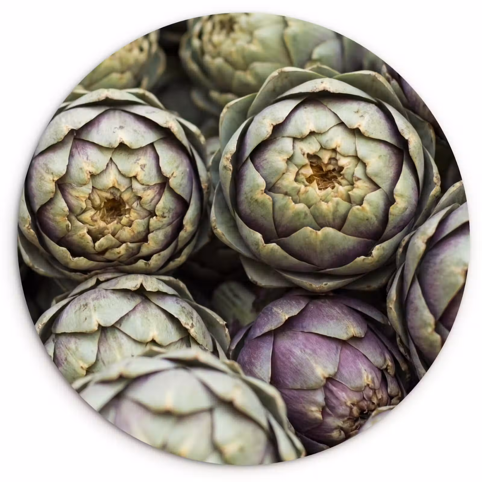 Muurcirkel - Groenten - Vers - Eten — 1