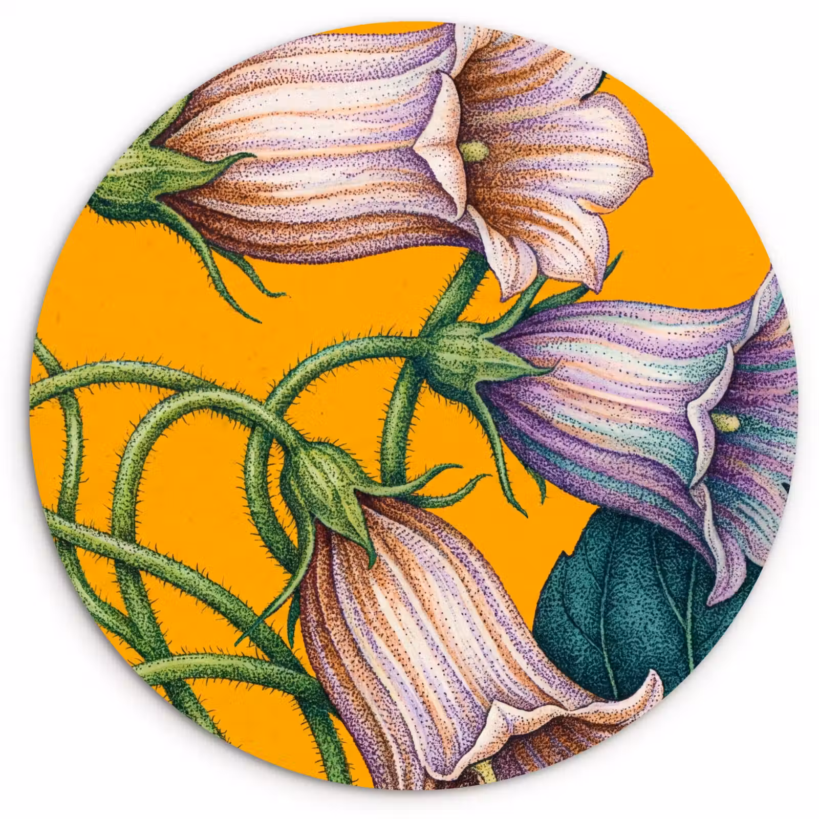 Muurcirkel - Bloemen - Botanisch - Geel — 1