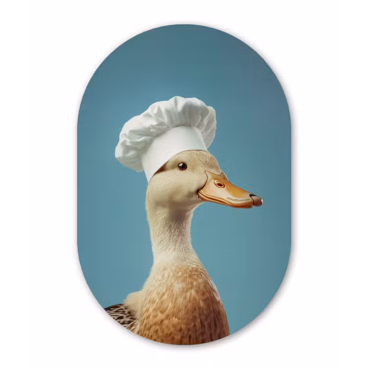 Muurovaal aluminium - Eend - Koksmuts - Cute - Vogel — 1