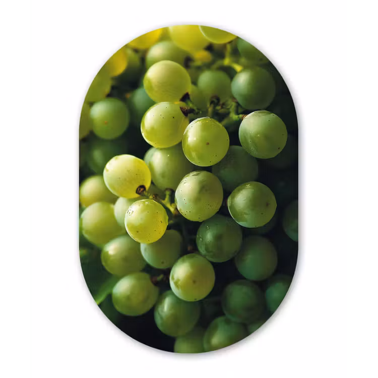 Muurovaal aluminium - Druiven - Tros - Groen — 1