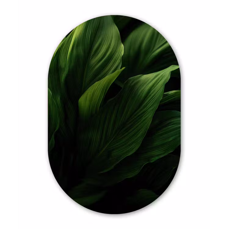 Muurovaal aluminium - Bladeren - Schaduw - Groen - Textuur — 1