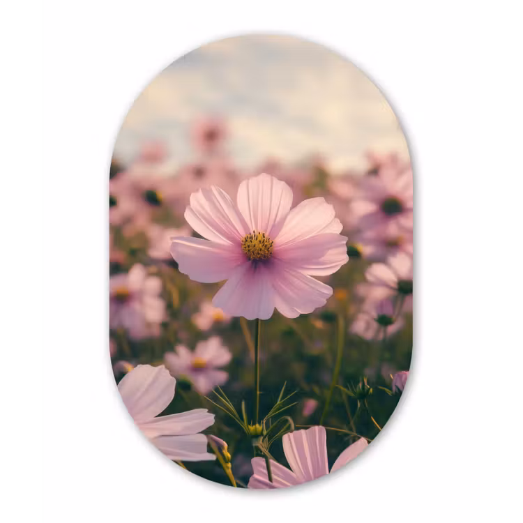 Muurovaal aluminium - Bloemen - Paars - Wazig — 1