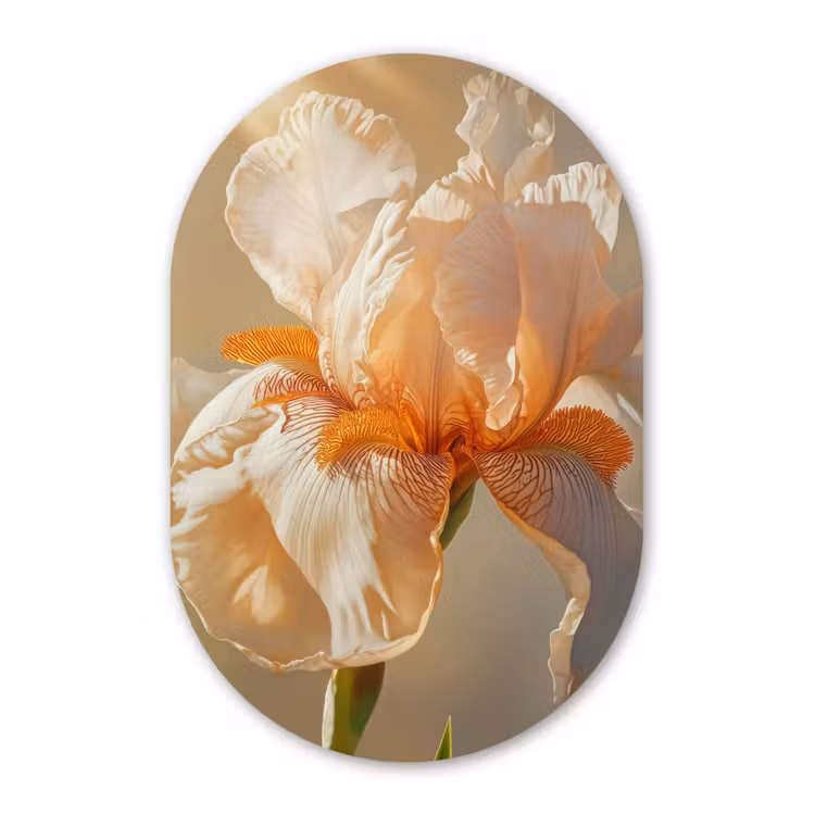 Muurovaal aluminium - Close up - Oranje - Iris — 1