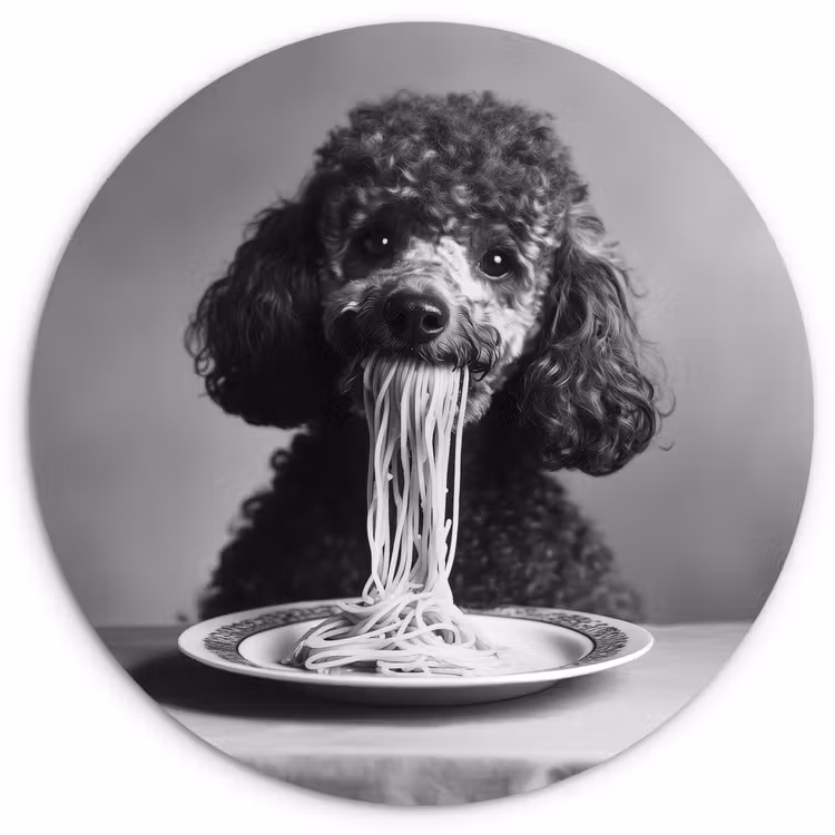 Muurcirkel - Poedel - Hond - Zwart - Wit - Schattig - Pasta — 1