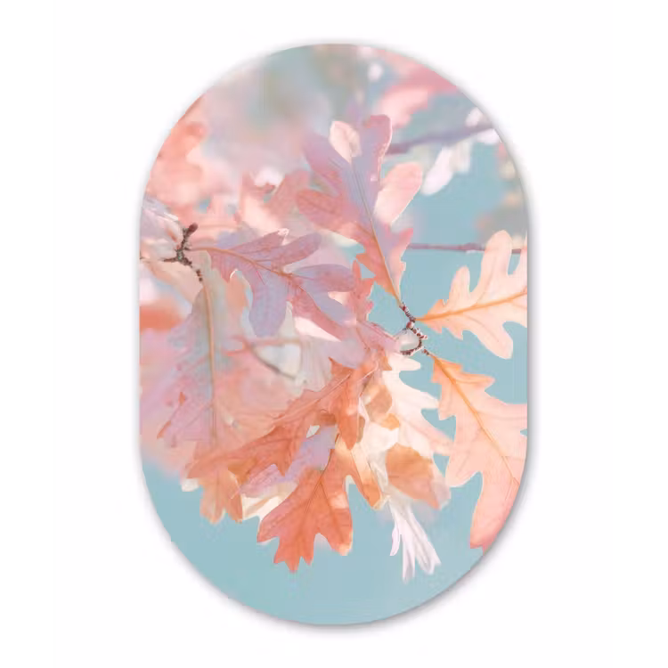 Muurovaal aluminium - Eikenbladeren - Takken - Roze — 1