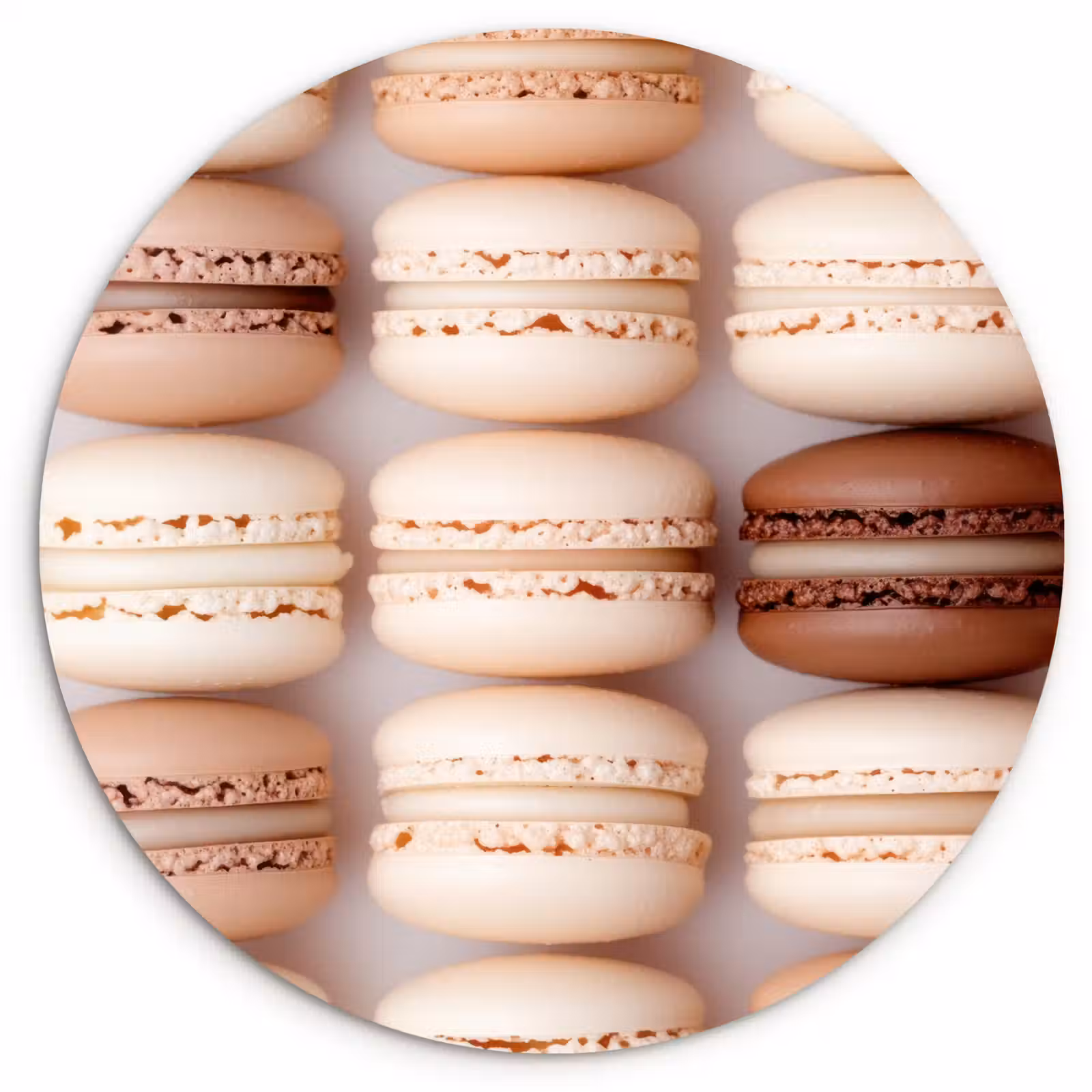 Muurcirkel - Macarons - Beige - Bruin — 1