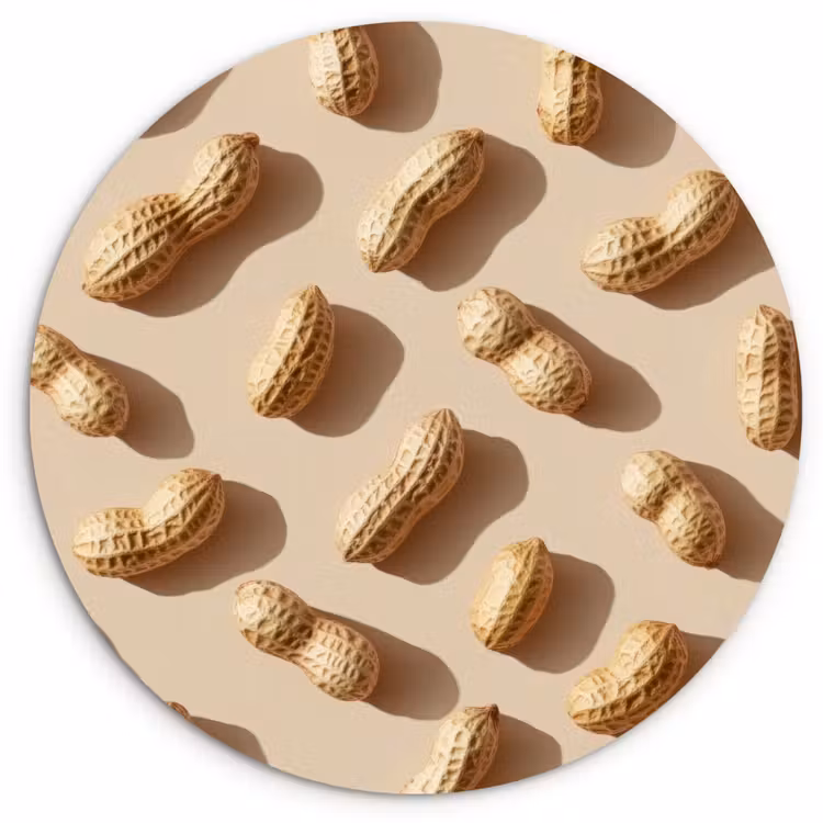 Muurcirkel - Pinda's - Patroon - Beige — 1