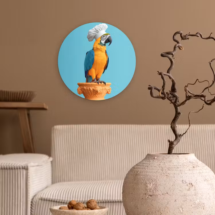 Muurcirkel - Papegaai - Koksmuts - Grappig - Vogel — 2