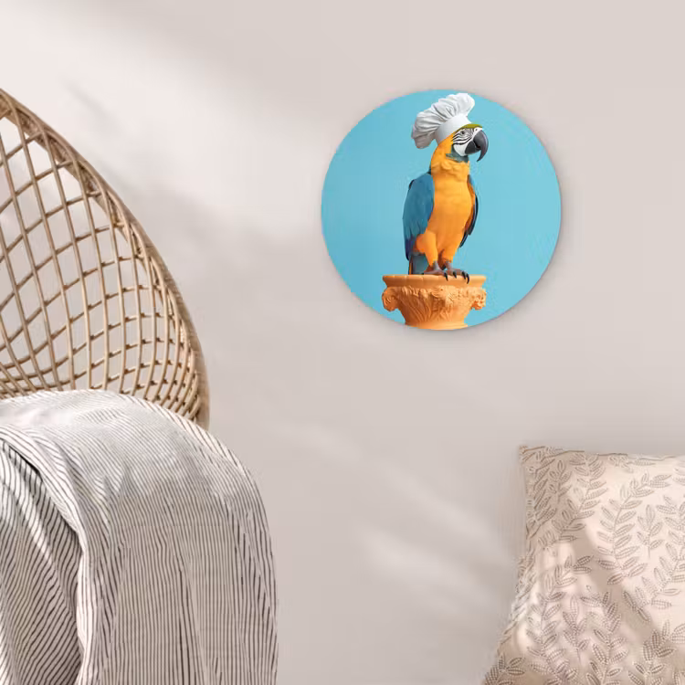 Muurcirkel - Papegaai - Koksmuts - Grappig - Vogel — 5