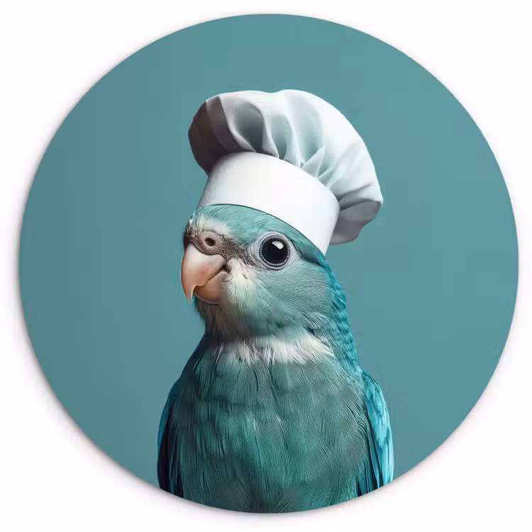 Muurcirkel - Parkiet - Vogel - Koksmuts - Cute — 1