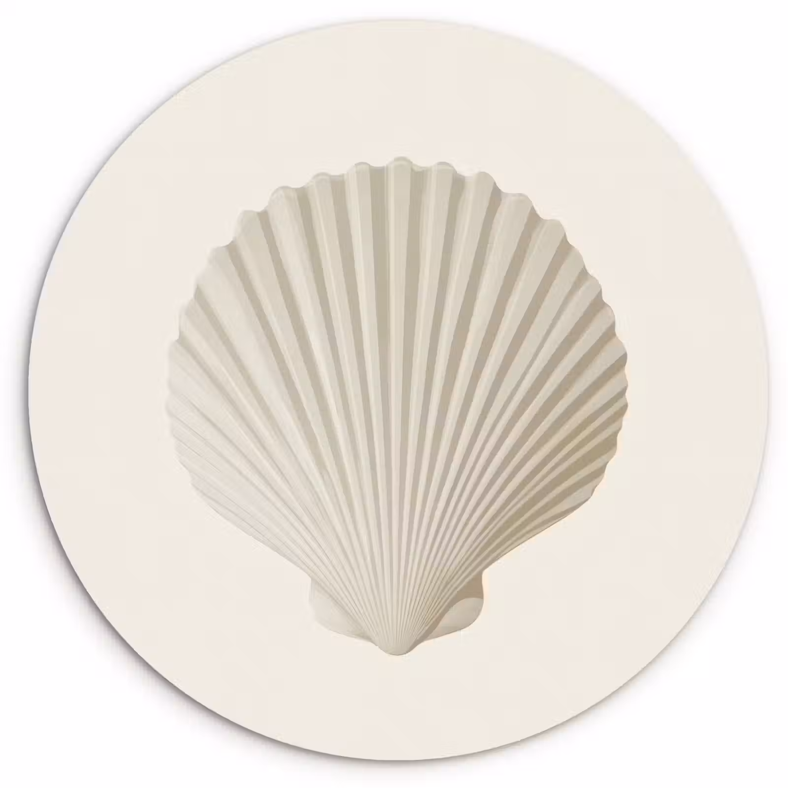 Muurcirkel - Schelp - Minimalistisch - Wit — 1
