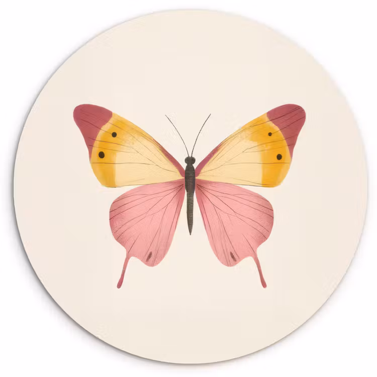 Muurcirkel - Vlinder - Illustratie - Roze — 1