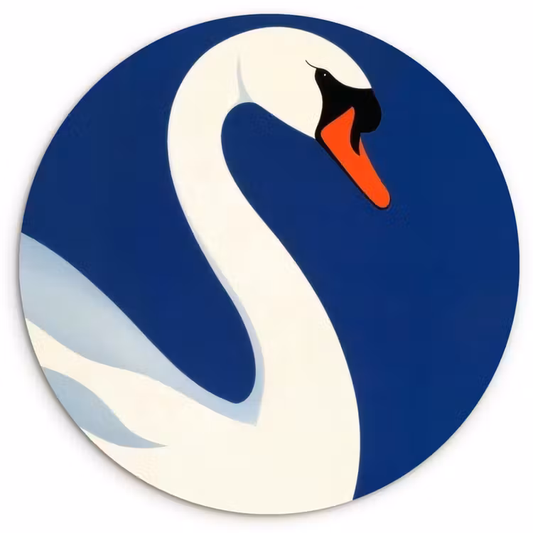 Muurcirkel - Zwaan - Wit - Snavel - Illustratie — 1