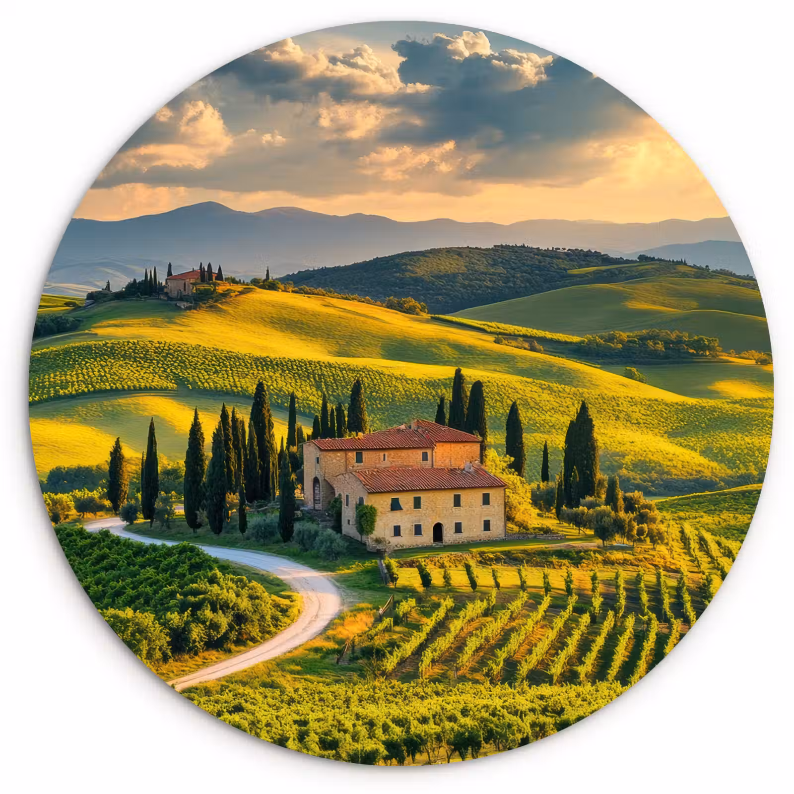 Muurcirkel - Toscane - Landschap - Wijngaarden — 1