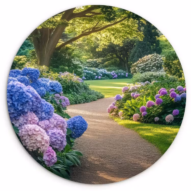 Muurcirkel - Hortensia- Park - Pad — 1