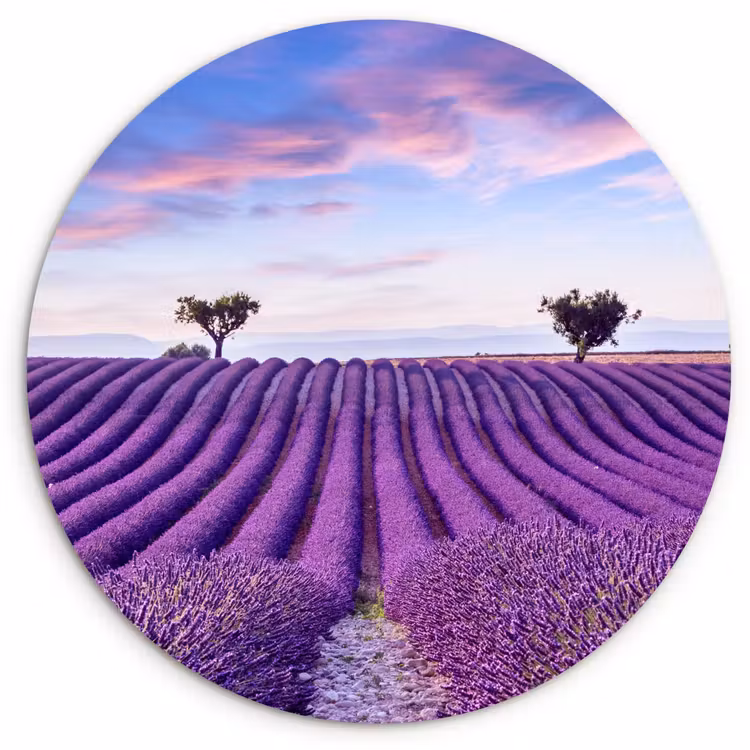 Muurcirkel - Lavendel - Natuur - Paars - Bomen - Bloemen — 1