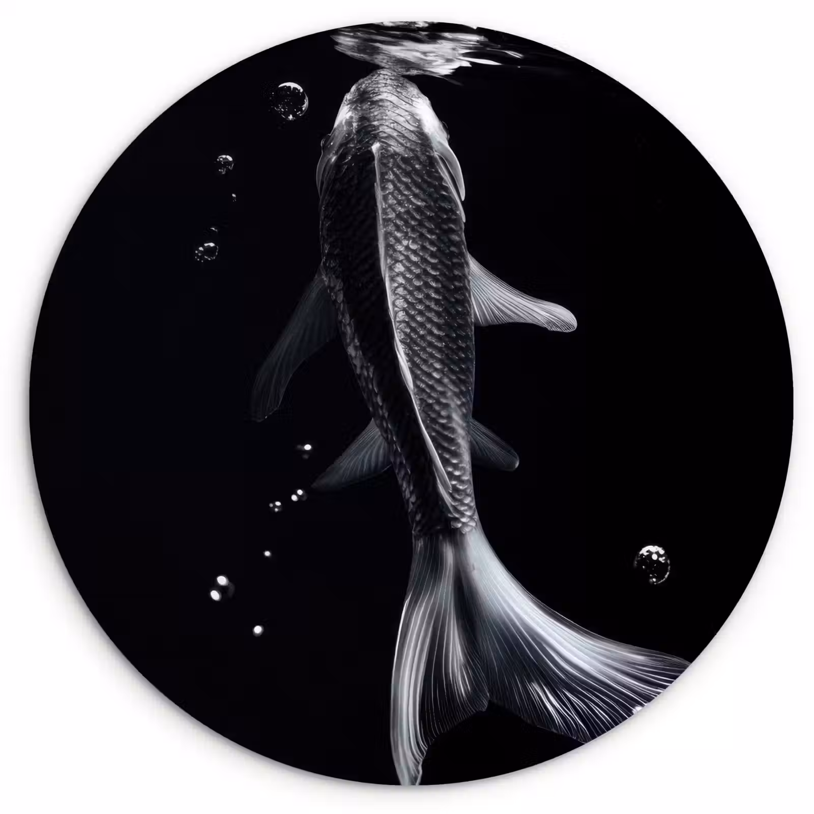 Muurcirkel - Koi - Vissen - Water - Zwart — 1