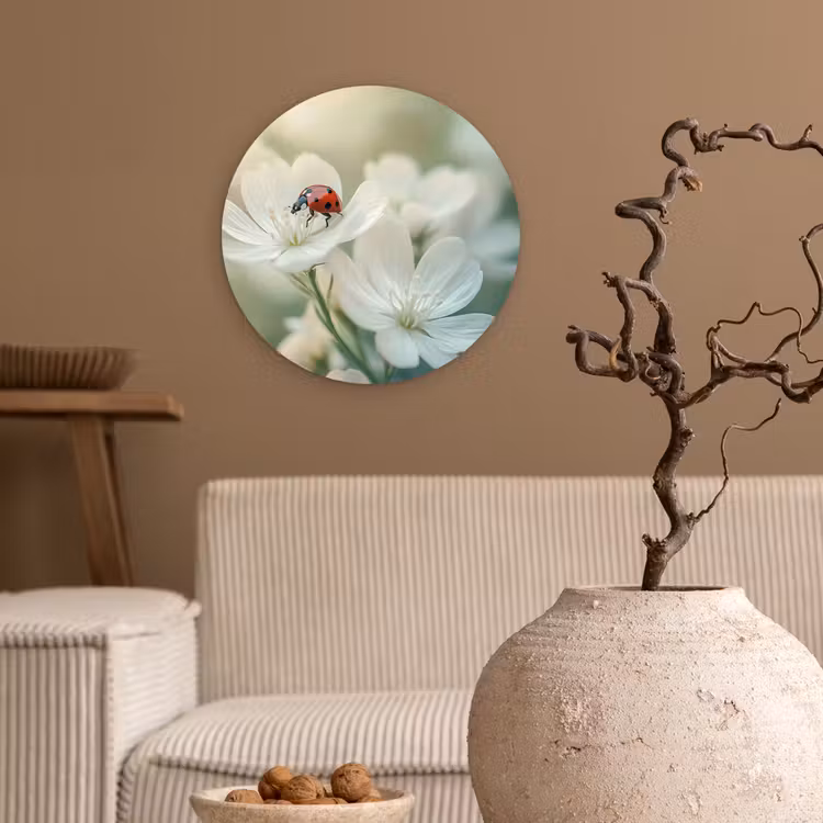 Muurcirkel - Lieveheersbeestje - Bloemen - Wit — 2