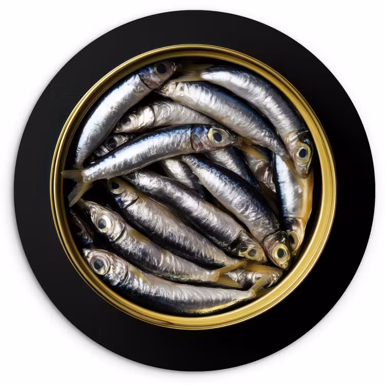 Muurcirkel - Sardines - Vissen - Rond - Zwart — 1