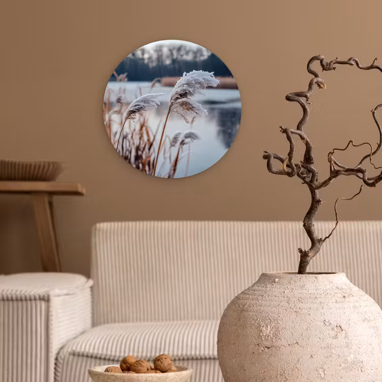 Muurcirkel - Riet - Gras - Natuur - Winter - Meer — 2