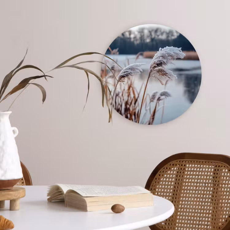 Muurcirkel - Riet - Gras - Natuur - Winter - Meer — 4