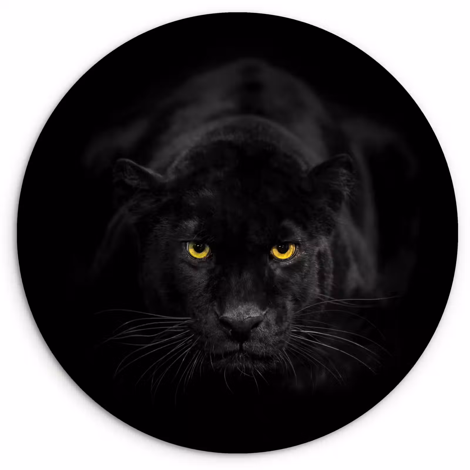 Muurcirkel - Panter - Dieren - Zwart - Ogen — 1