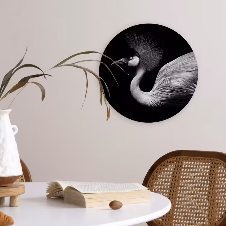 Muurcirkel - Kraanvogel - Zwart - Wit - Vogel - Dieren — 4